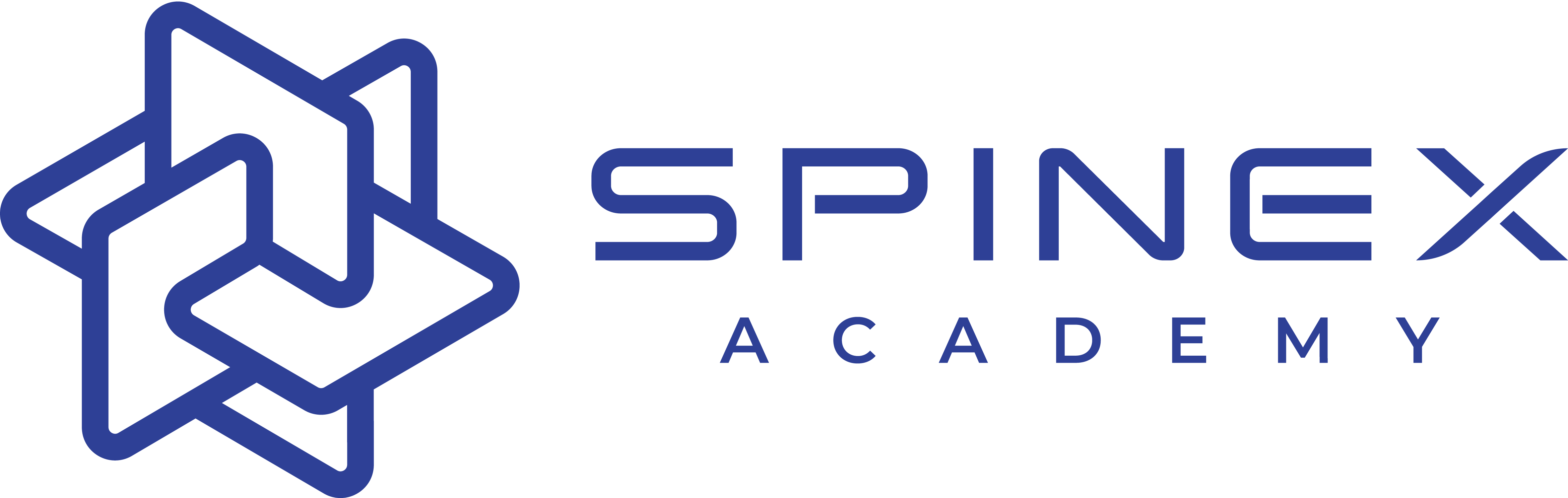 SPINEX ACADEMY